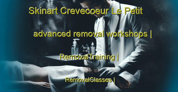 Skinart Crevecoeur Le Petit advanced removal workshops | RemovalTraining | RemovalClasses | SkinartTraining-France